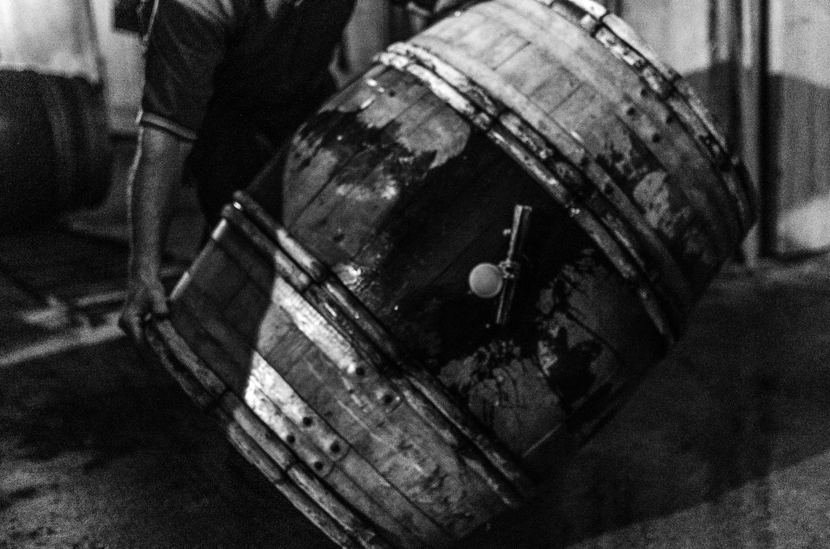 Fût de chêne dans une cave de vinification en Beaujolais, tenu par un vigneron, image en noir et blanc