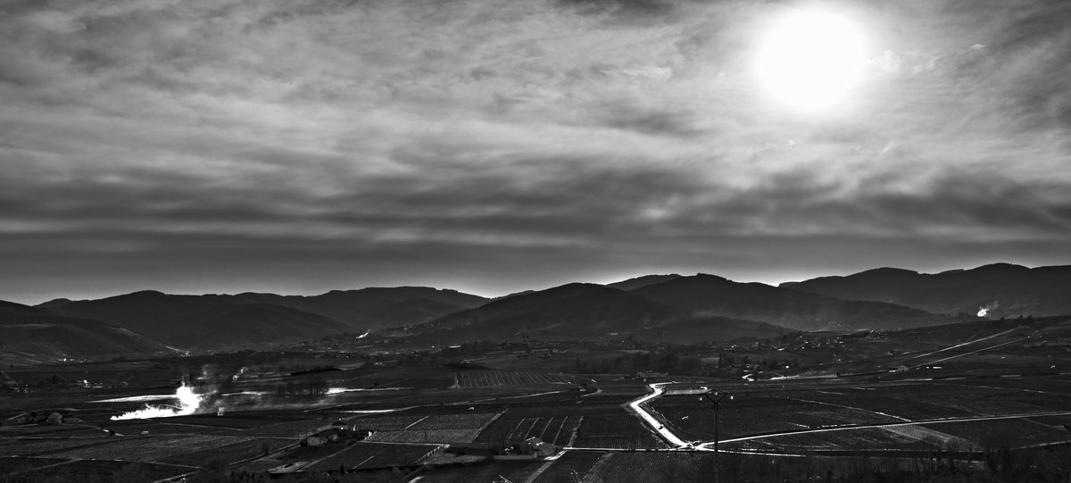 Panorama noir et blanc sur le vignoble depuis les hauteurs de Morgon, vue sur les monts du Beaujolais et les crus environnants
