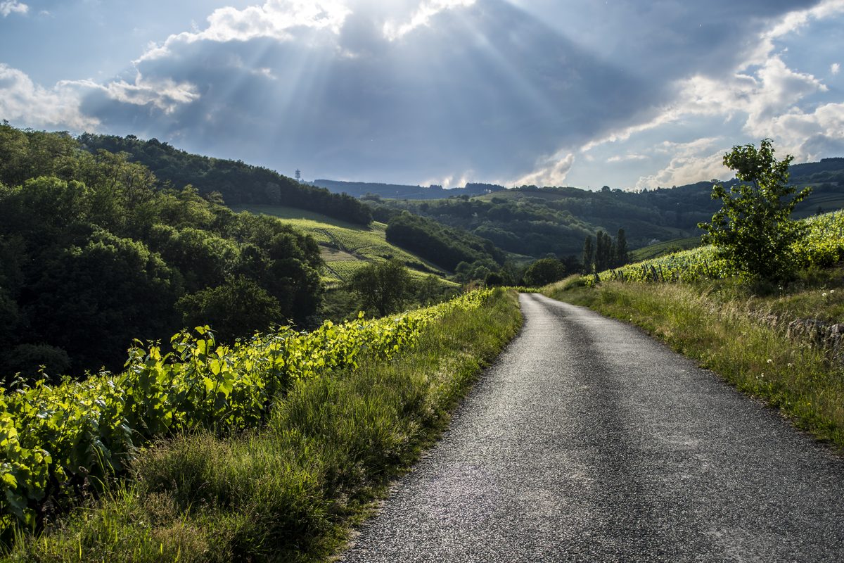 Route viticole entre Chiroubles et Saint-Joseph au cœur des crus du Beaujolais, avec la tour d'Avenas visible au loin dominant les monts du Beaujolais